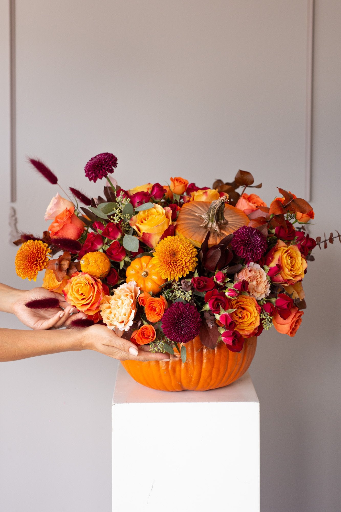 Pumkin Collection